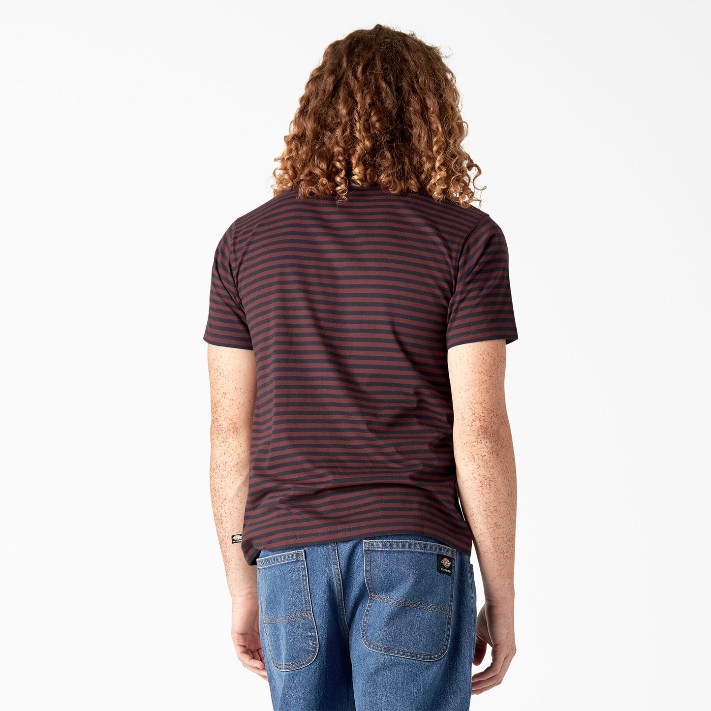 Dickies Skateboarding Striped Short Sleeve T-Shirt Fired Brick Stripe