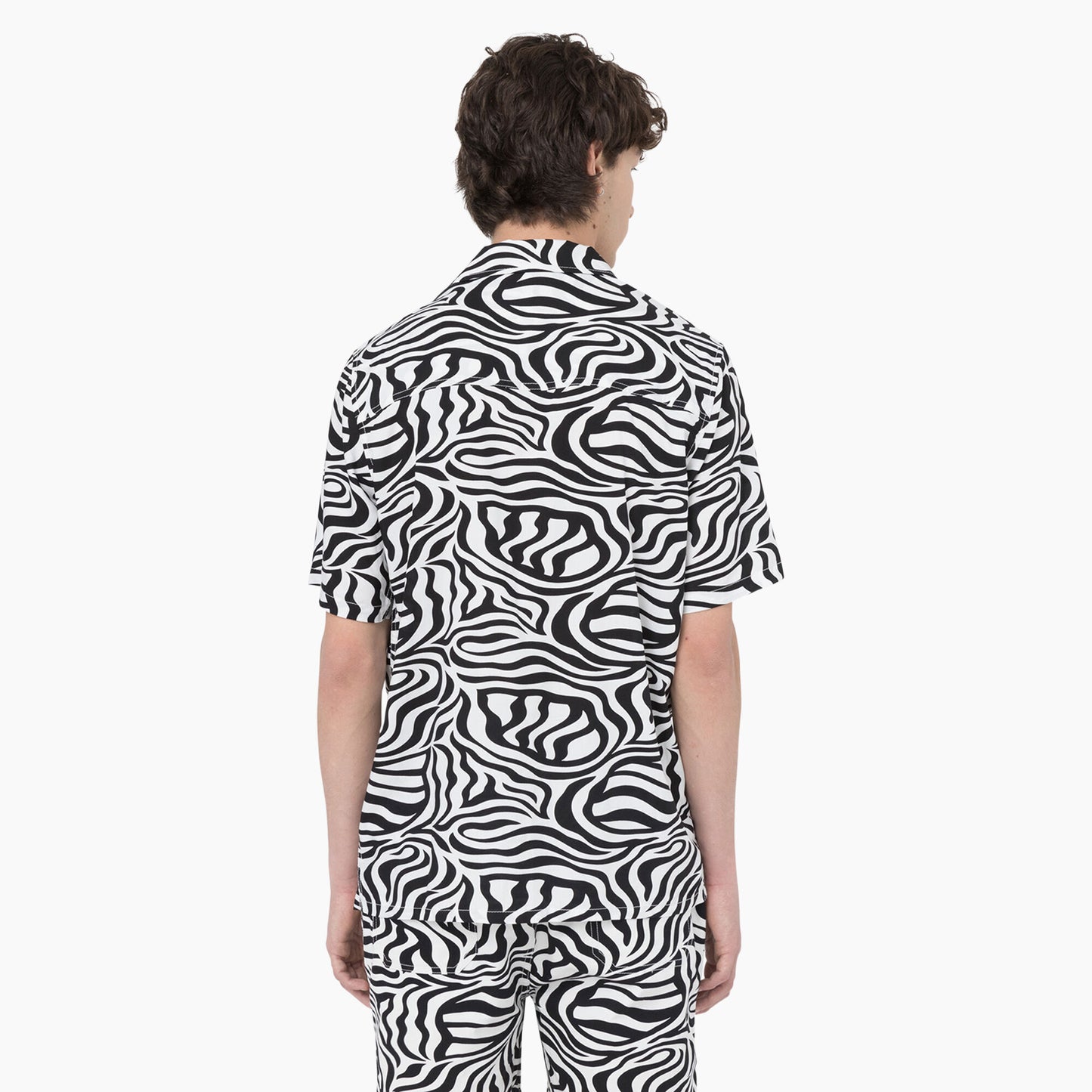 Dickies Zebra Print Button Up Short Sleeve Shirt Black / White